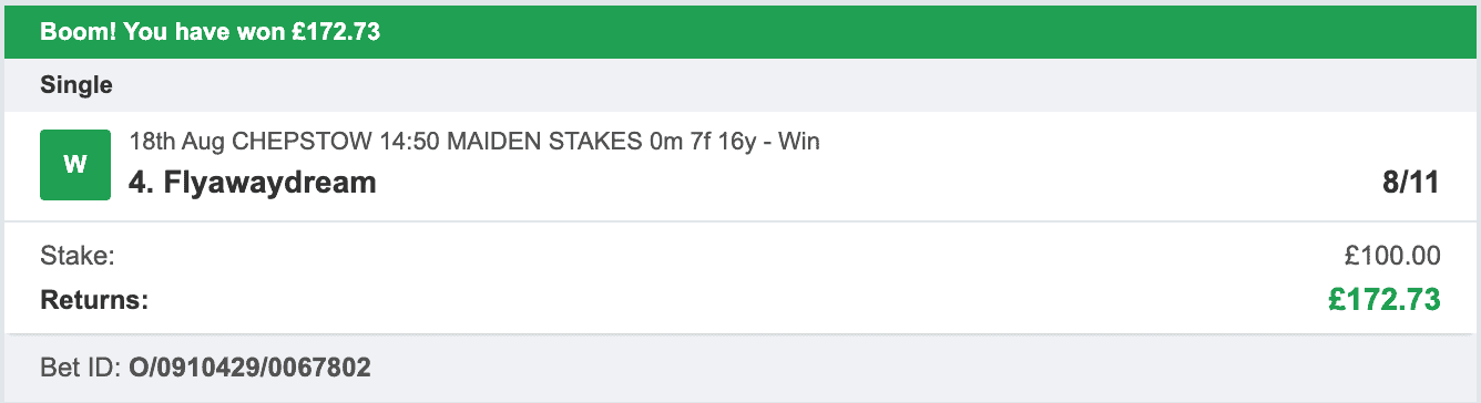 Storm Horse System - Winner - 2022-08-18