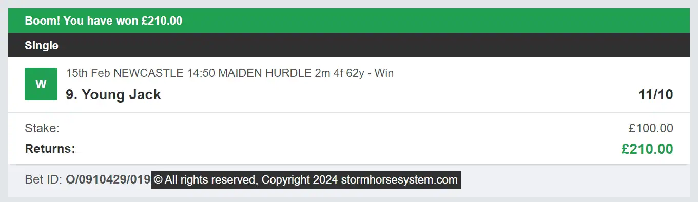 Storm Horse System - Winner - 2024-02-15