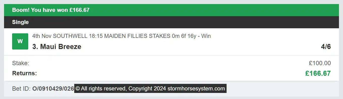 Storm Horse System - Winner - 2024-11-04
