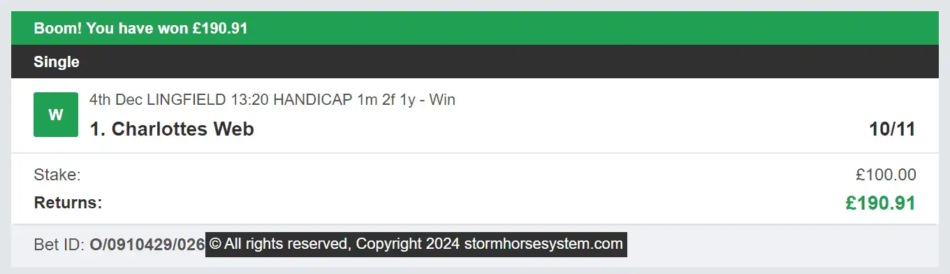 Storm Horse System - Winner - 2024-12-04